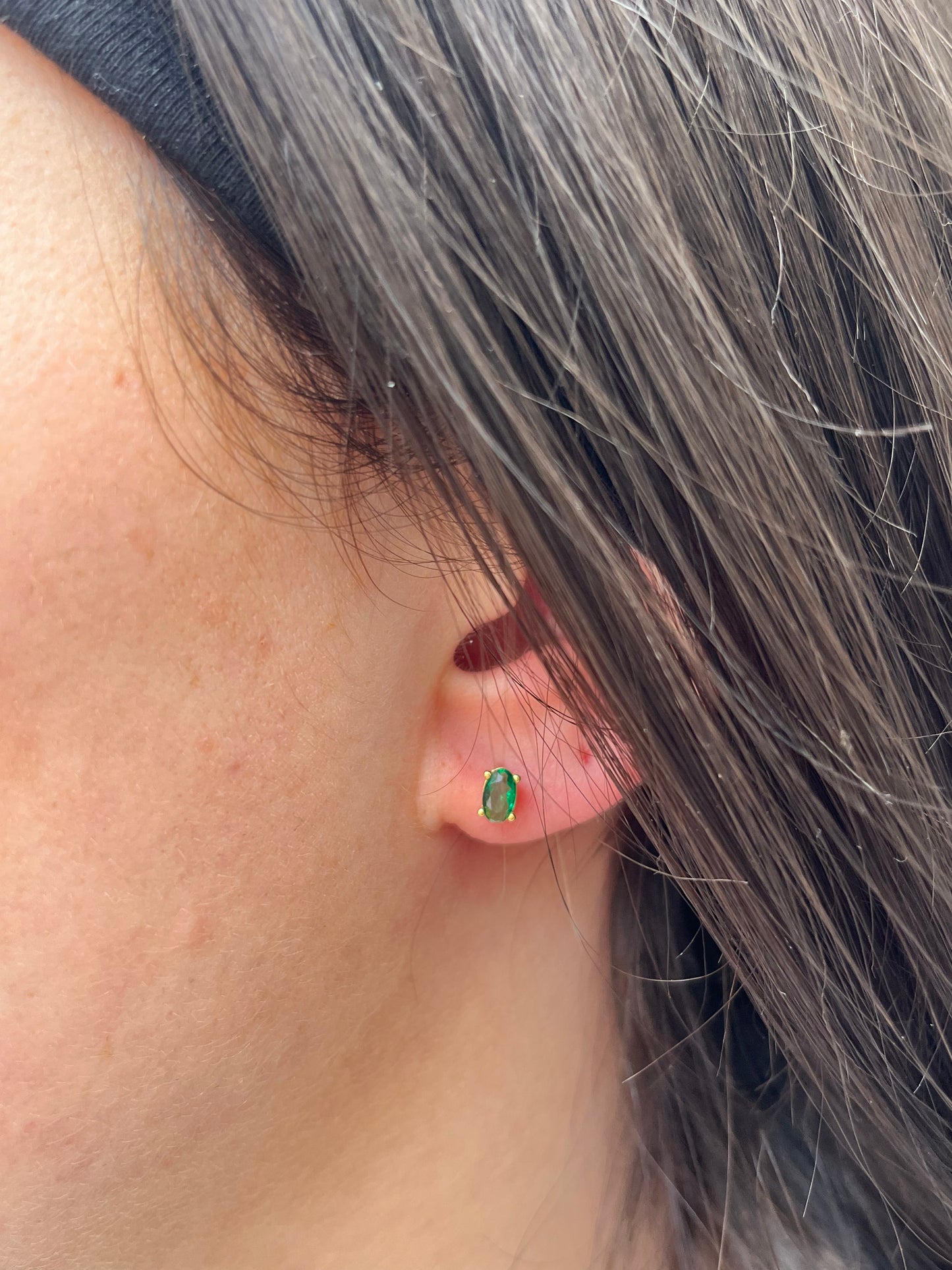 Puce d'Oreilles Scarabée