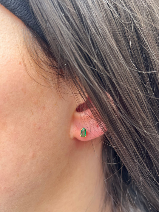Puce d'Oreilles Scarabée