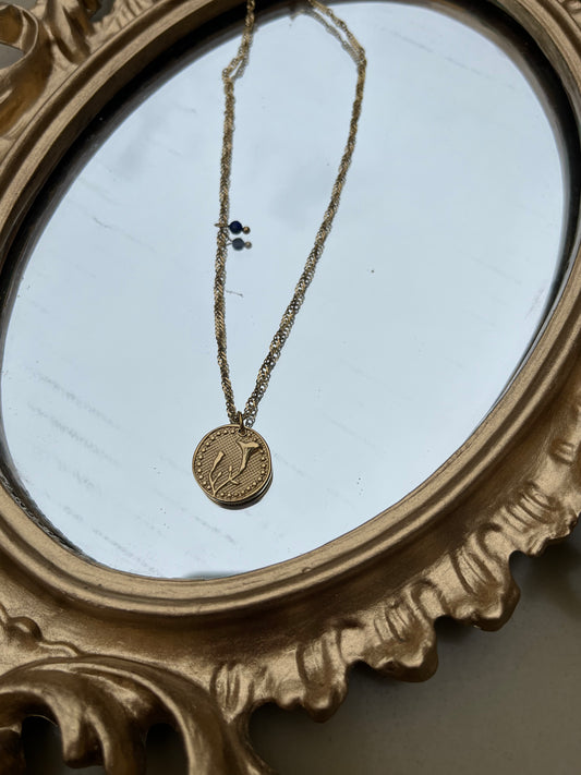 Collier Morning Glory