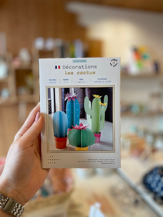 Kit 4 Cactus