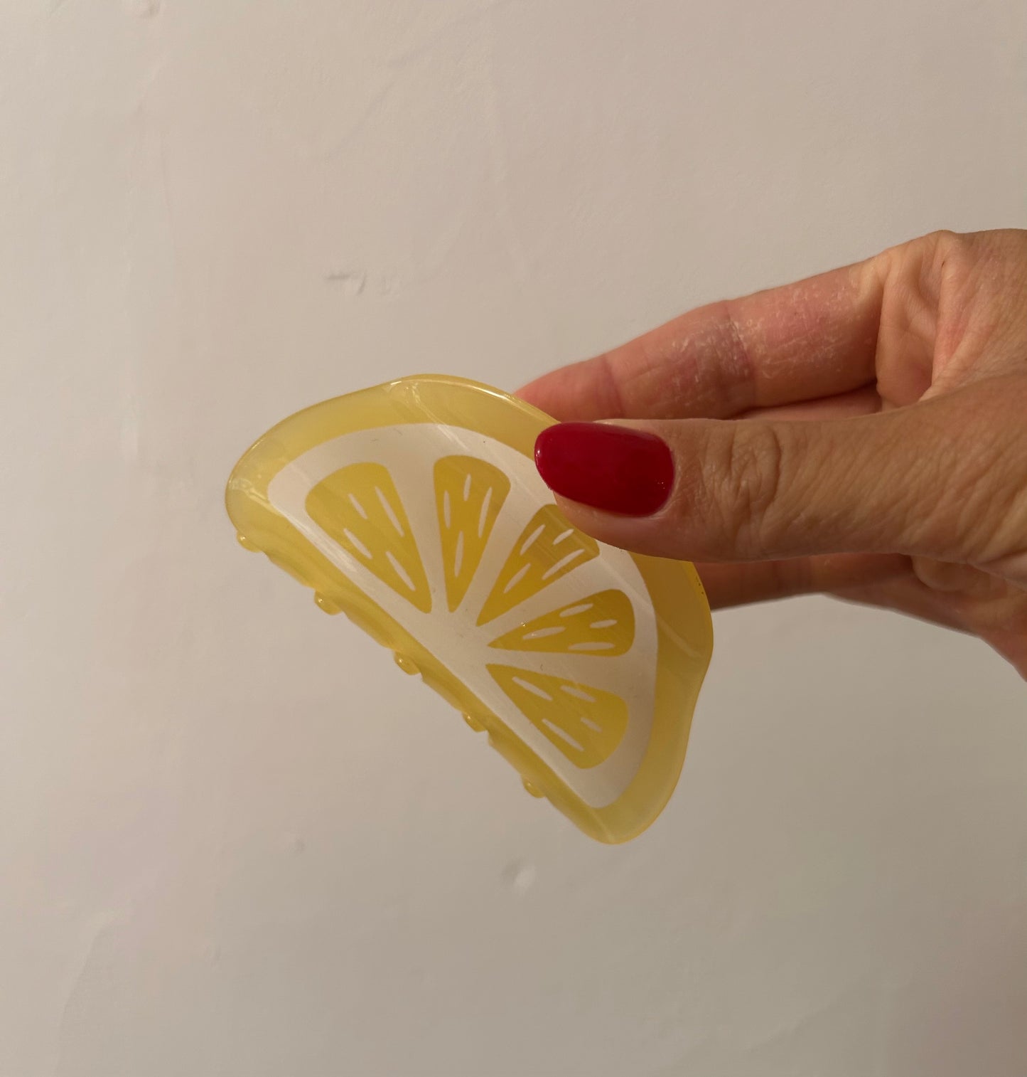 Pinces à Cheveux Fantaisie