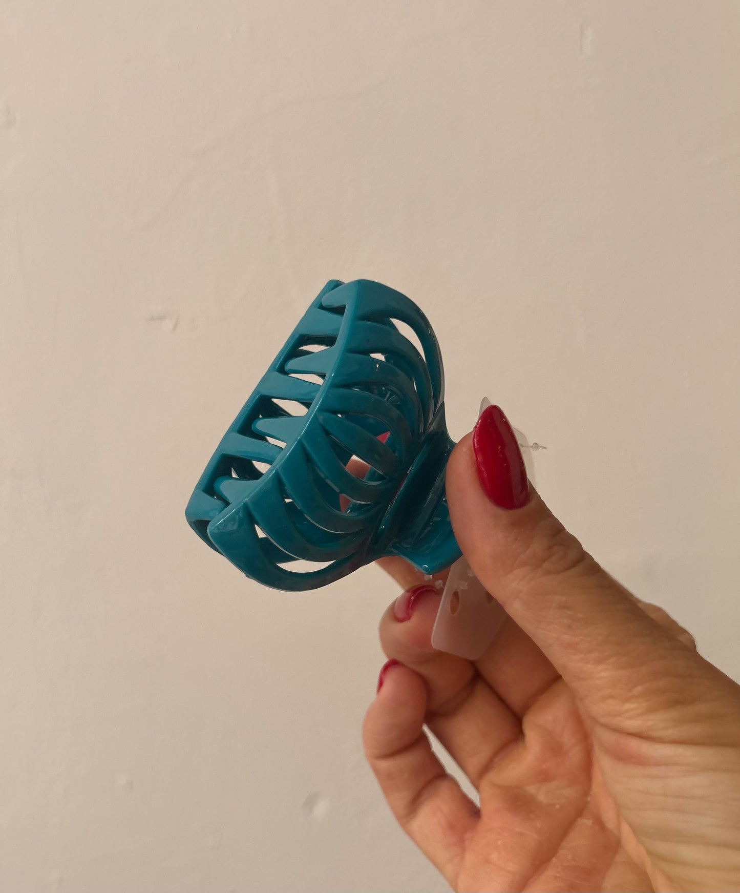 Pinces à Cheveux Fantaisie